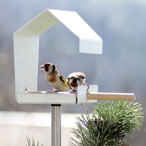 Schönes für Draußen