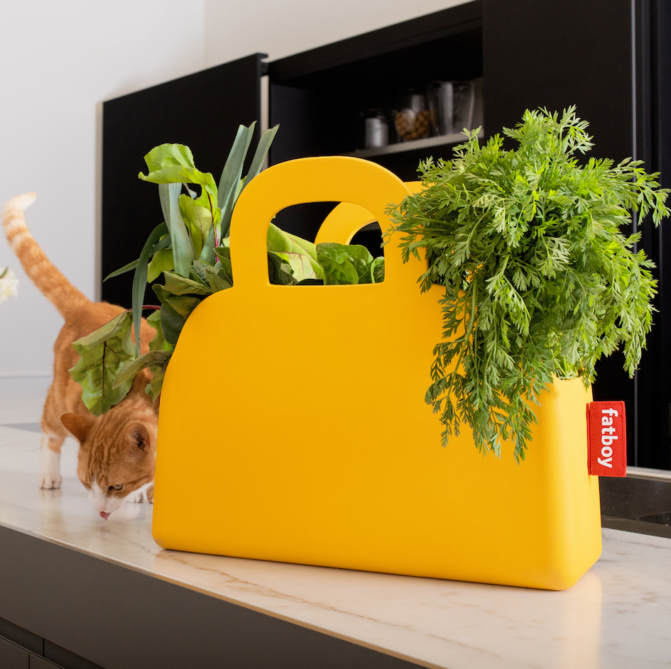 FATBOY_sjopper-kees_cat-in-the-bag