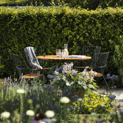 PAON-CIRCLE_J4A5276_high res