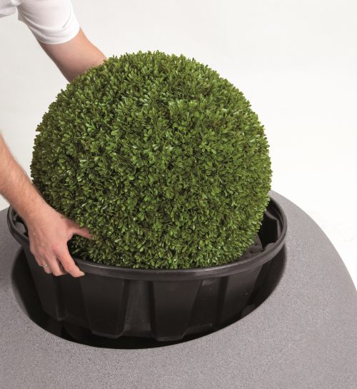 STORUS_II_Pflanzeinsatz