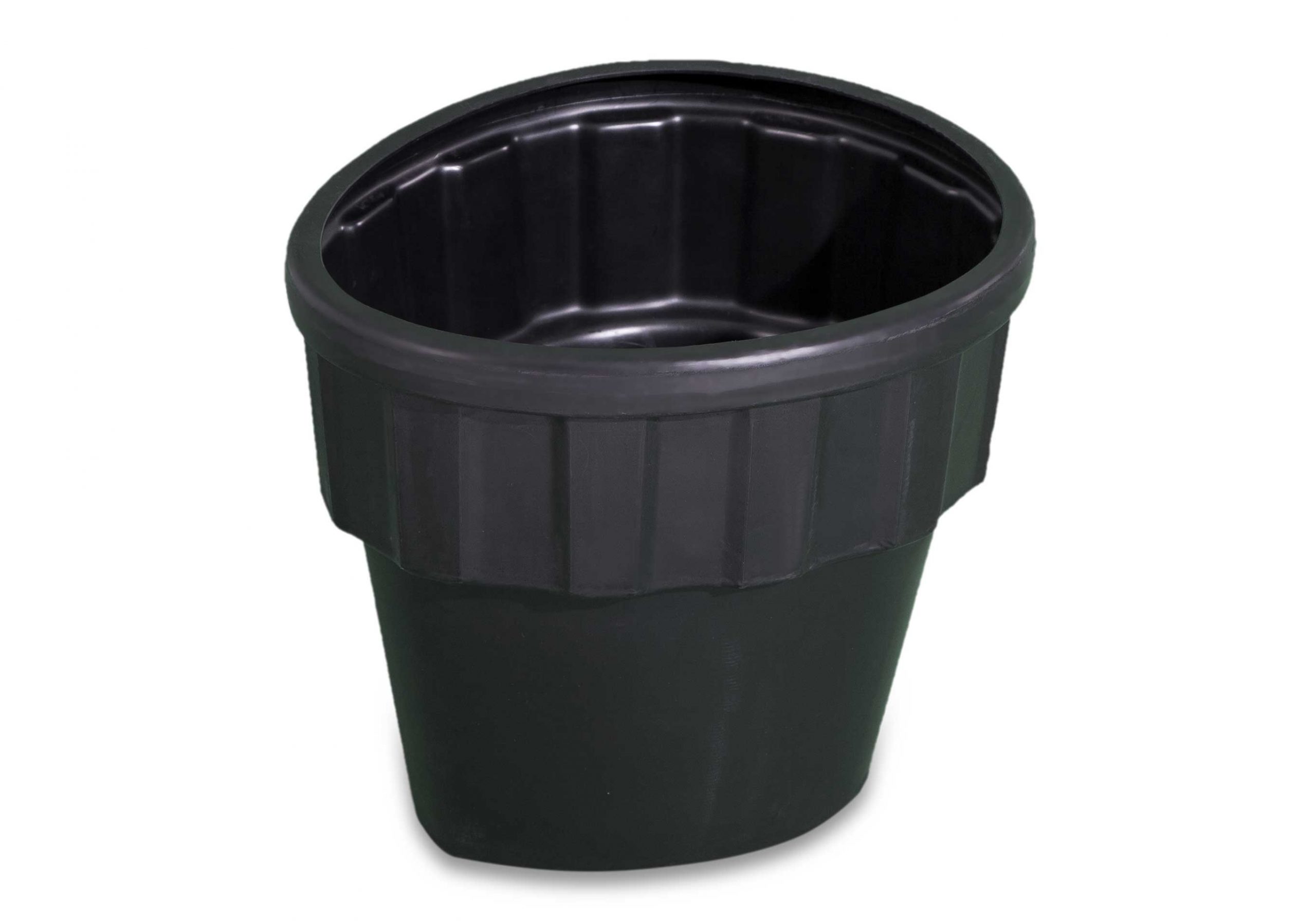 Storus_IV_Pflanzeinsatz_227669_002