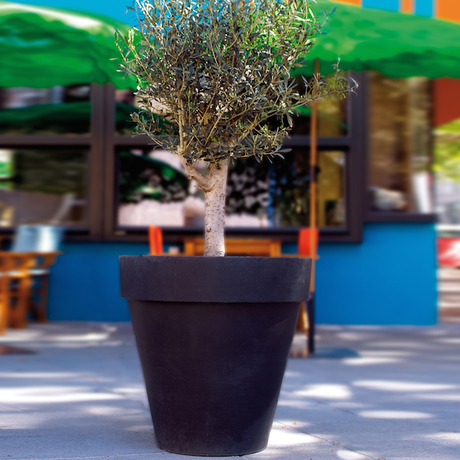 der-mit-dem-rand_3 Kopie