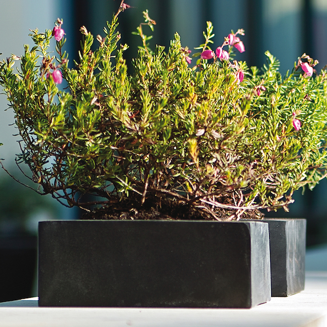 der-quadratische_4 Kopie